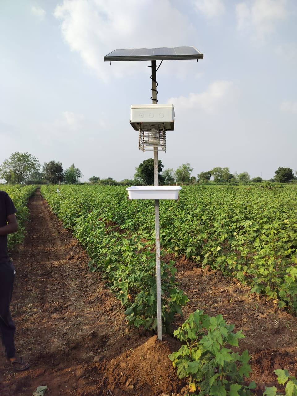 ScaNxt field view 3