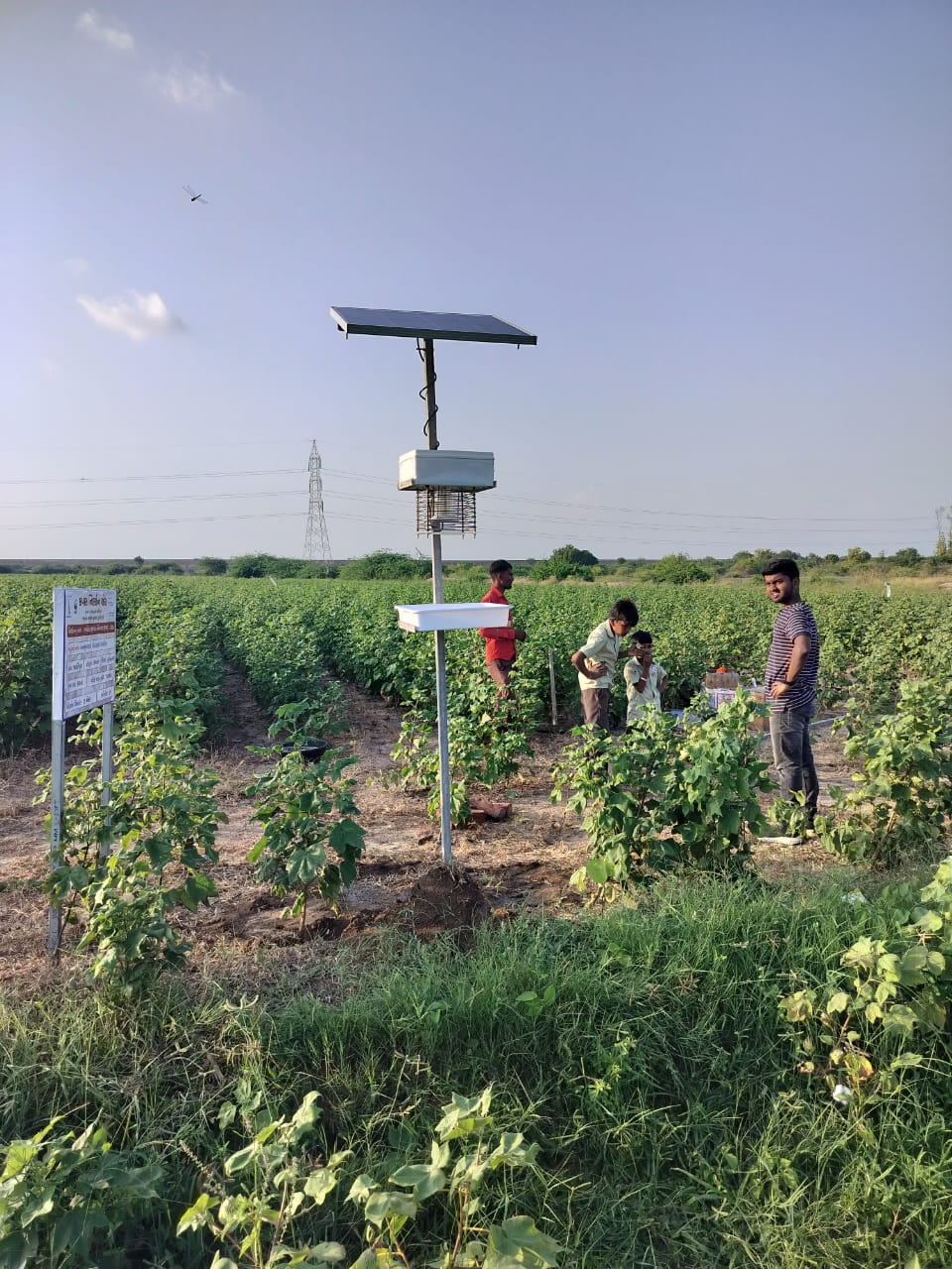 ScaNxt field view 5
