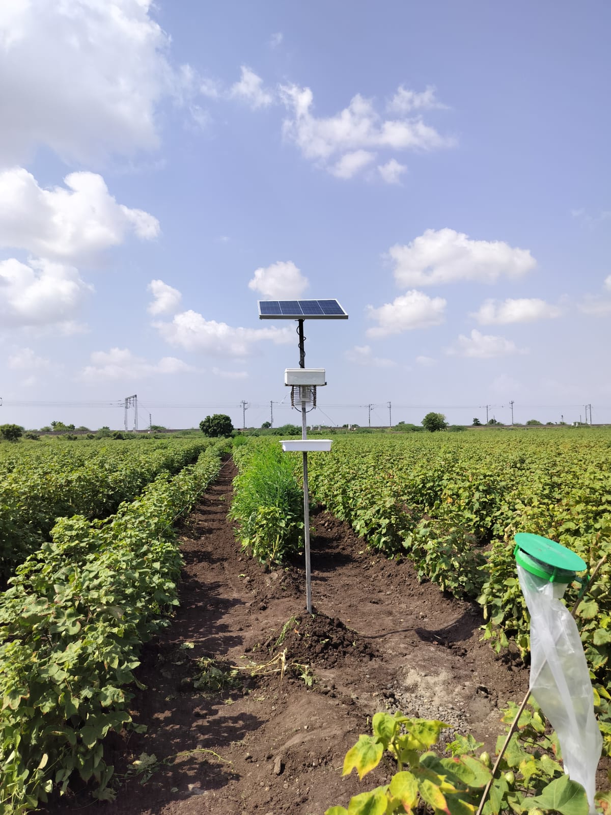 ScaNxt field view 6